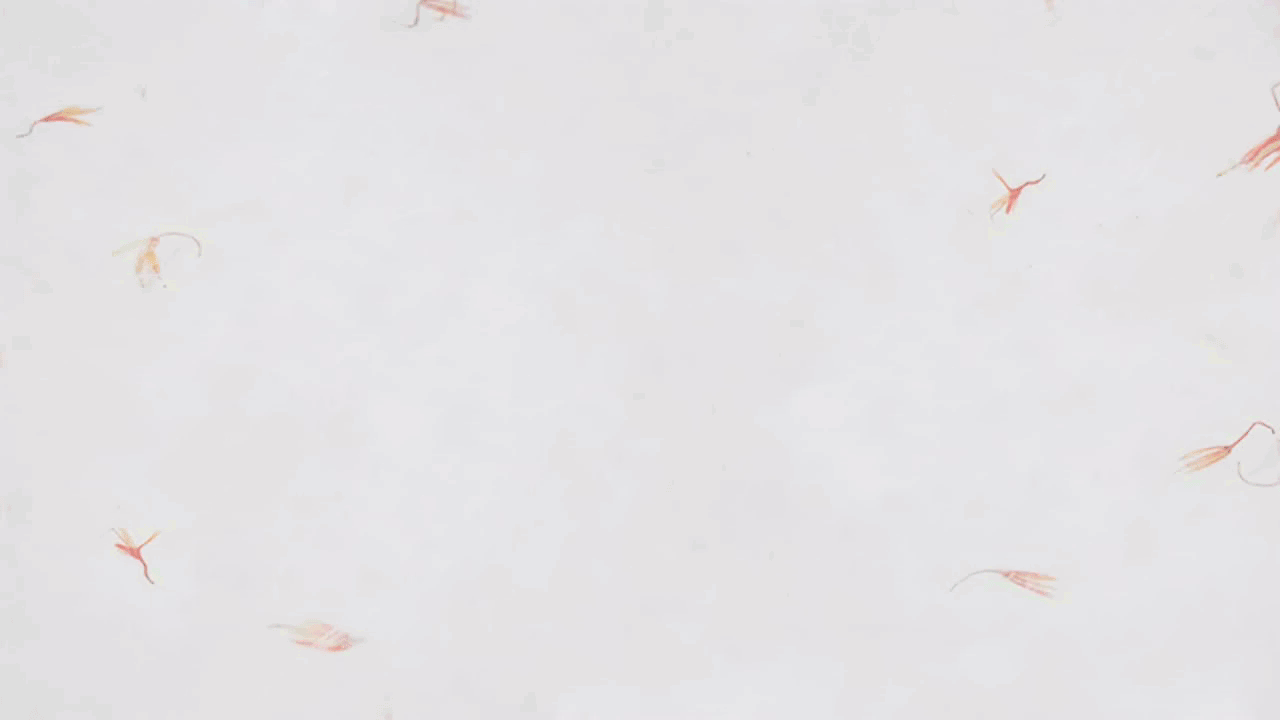 24节气汉字动态——春（图ZMzk0Njc4MzY=） - 动画片 - 站酷设计师Arale_you原创素材 - 站酷ZCOOL