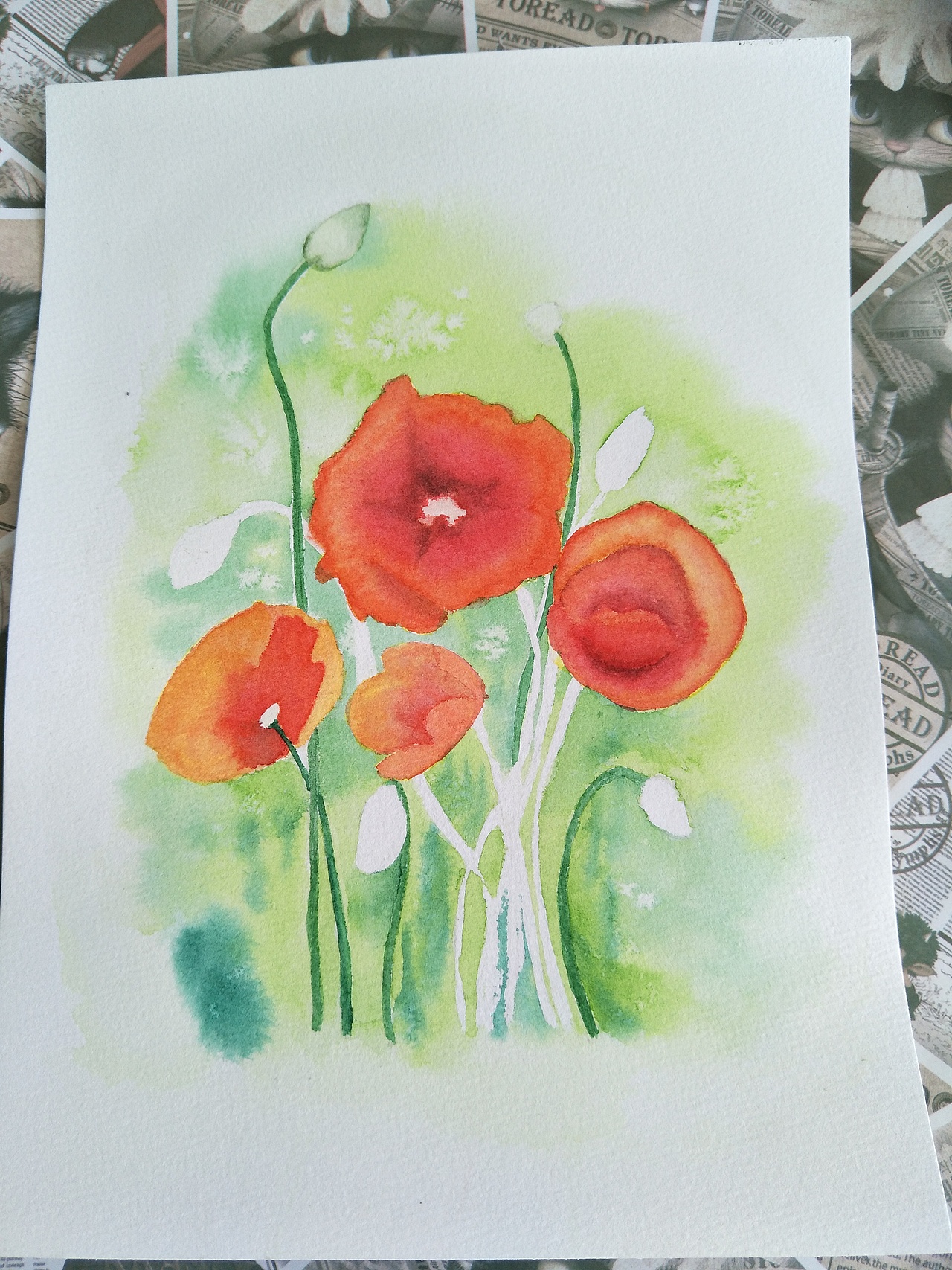 罂粟花（图ZMTI5NDcwODc2） - 创作习作 - 站酷设计师a萱草无忧a原创素材 - 站酷ZCOOL