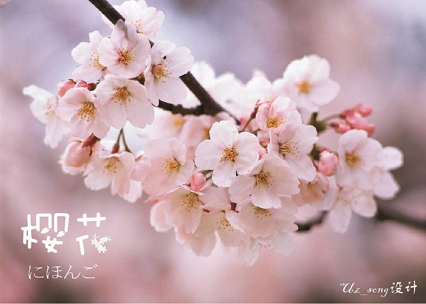 字体设计-第五弹《我爱花》（图ZNTA0NDg2NDg=） - 字体/字形 - 站酷设计师Uz_song原创素材 - 站酷ZCOOL