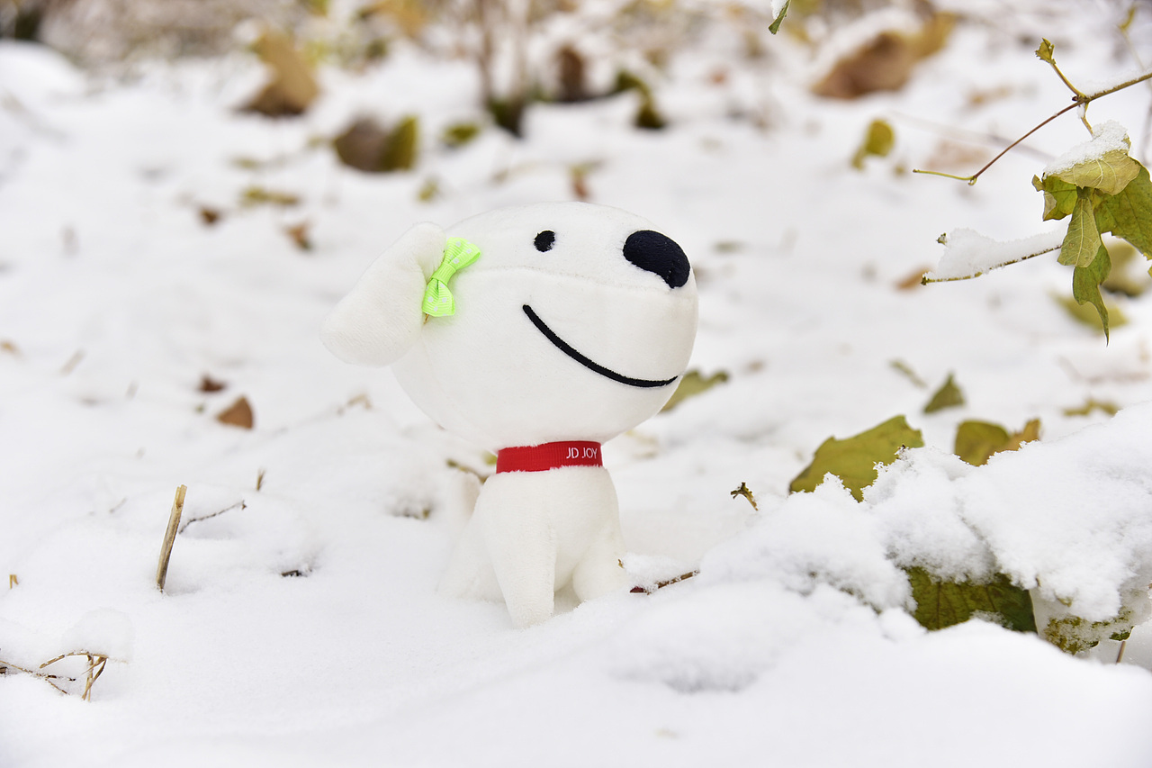 小京东带你玩北城