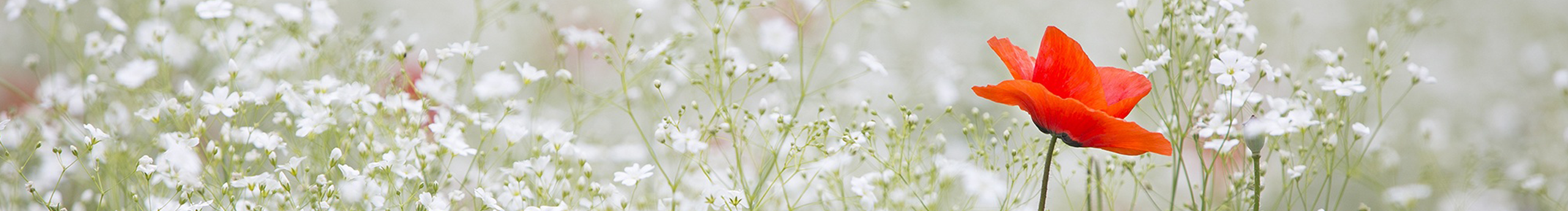 法克叔叔fafa的個(gè)人主頁(yè)（封面預(yù)覽） - 主頁(yè)封面設(shè)置 - 站酷設(shè)計(jì)師法克叔叔fafa原創(chuàng)素材 - 站酷ZCOOL