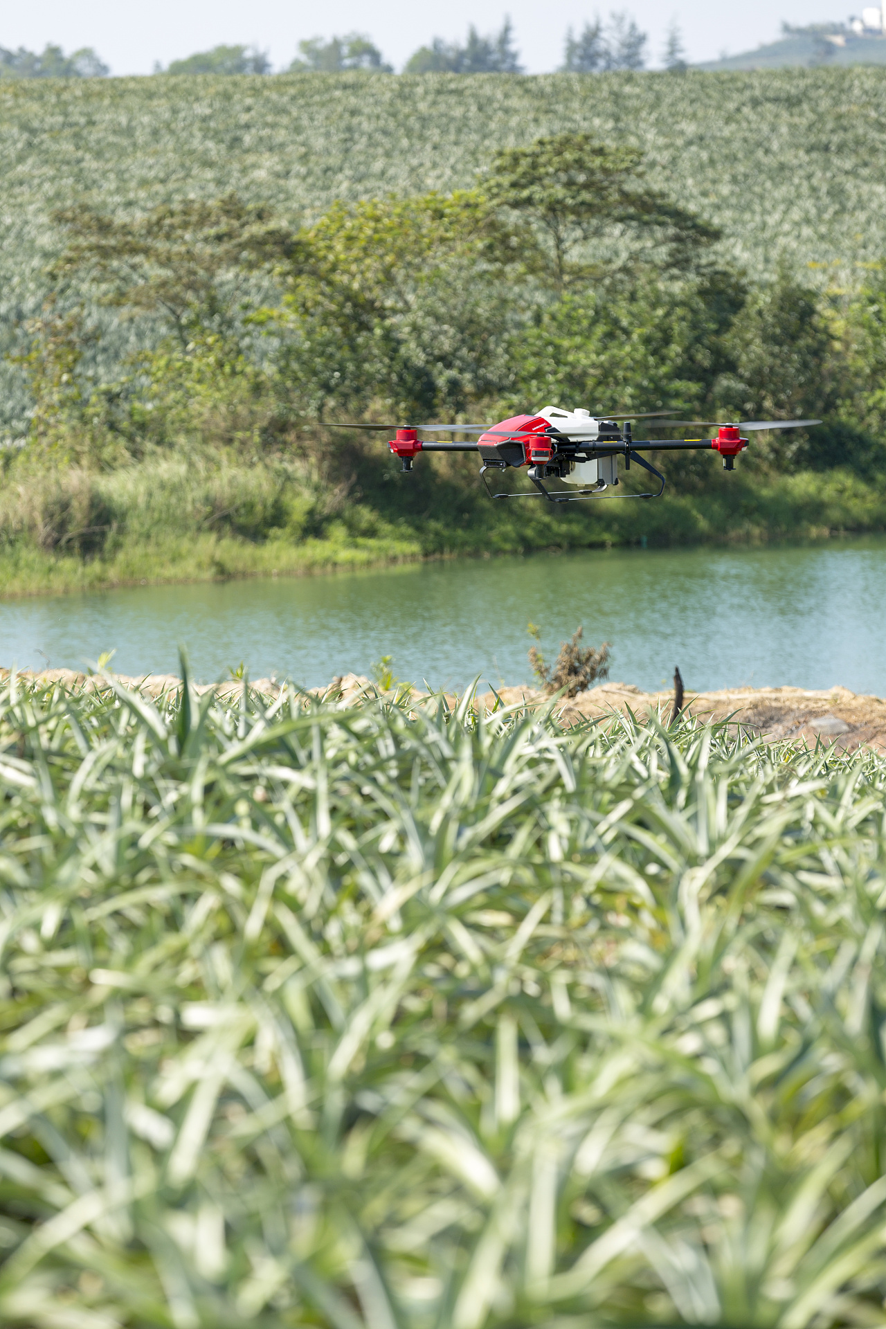 极飞p30 2018植保无人机
