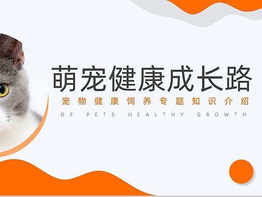 宠物健康成长路宠物健康饲料专题知识介绍PPT