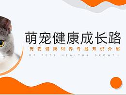 宠物健康成长路宠物健康饲料专题知识介绍PPT
