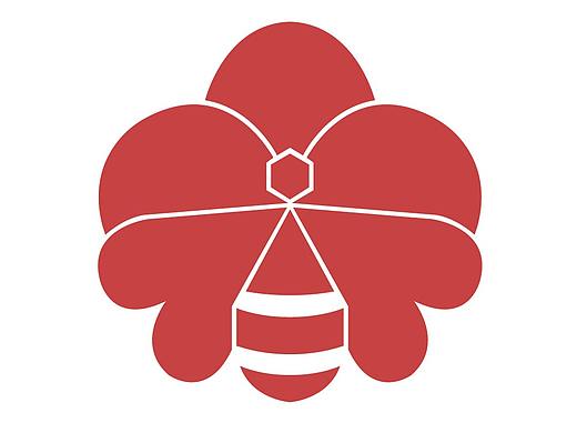 蜂花品牌调研及提升