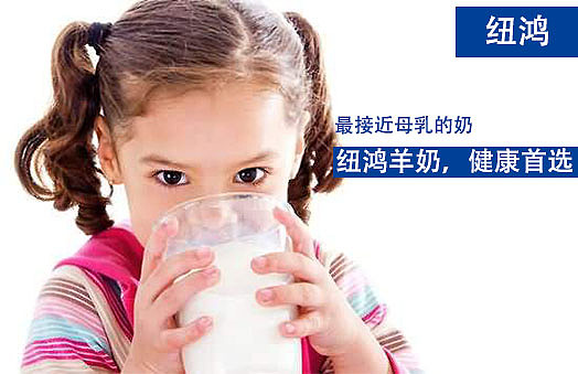 大连纽鸿羊奶（图ZODQ3NDI0ODg=） - 宣传物料 - 站酷设计师小天使1号原创素材 - 站酷ZCOOL