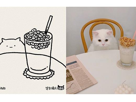 100张贺岁猫片（二）
