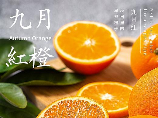 九月红橙子