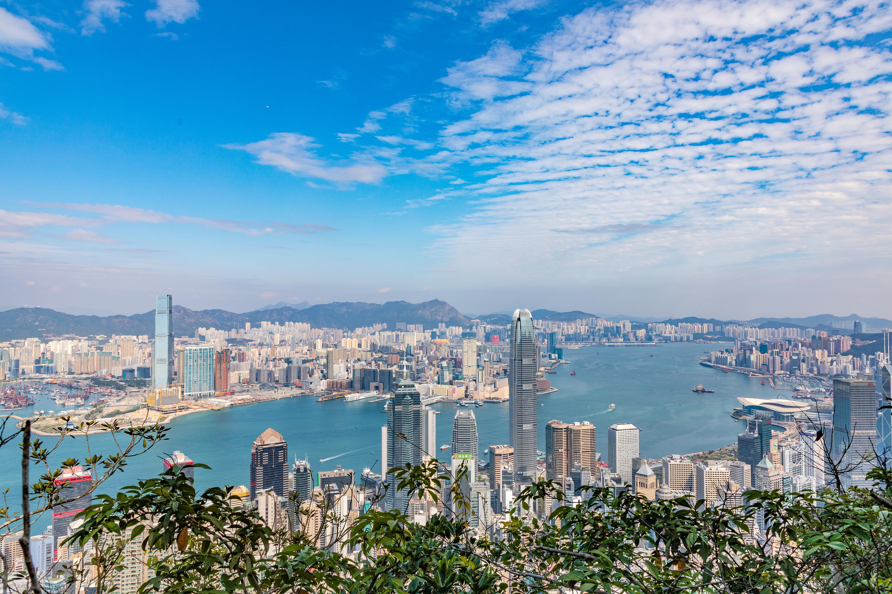 從最高峰360度俯瞰香港美景，天際100香港觀景台 – TravoWeee!