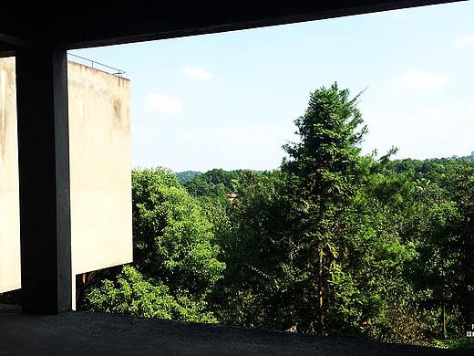 <自然良宿>春夏秋冬，一年四季，寒来暑往，花开花落。是日常生活，是自然故事。