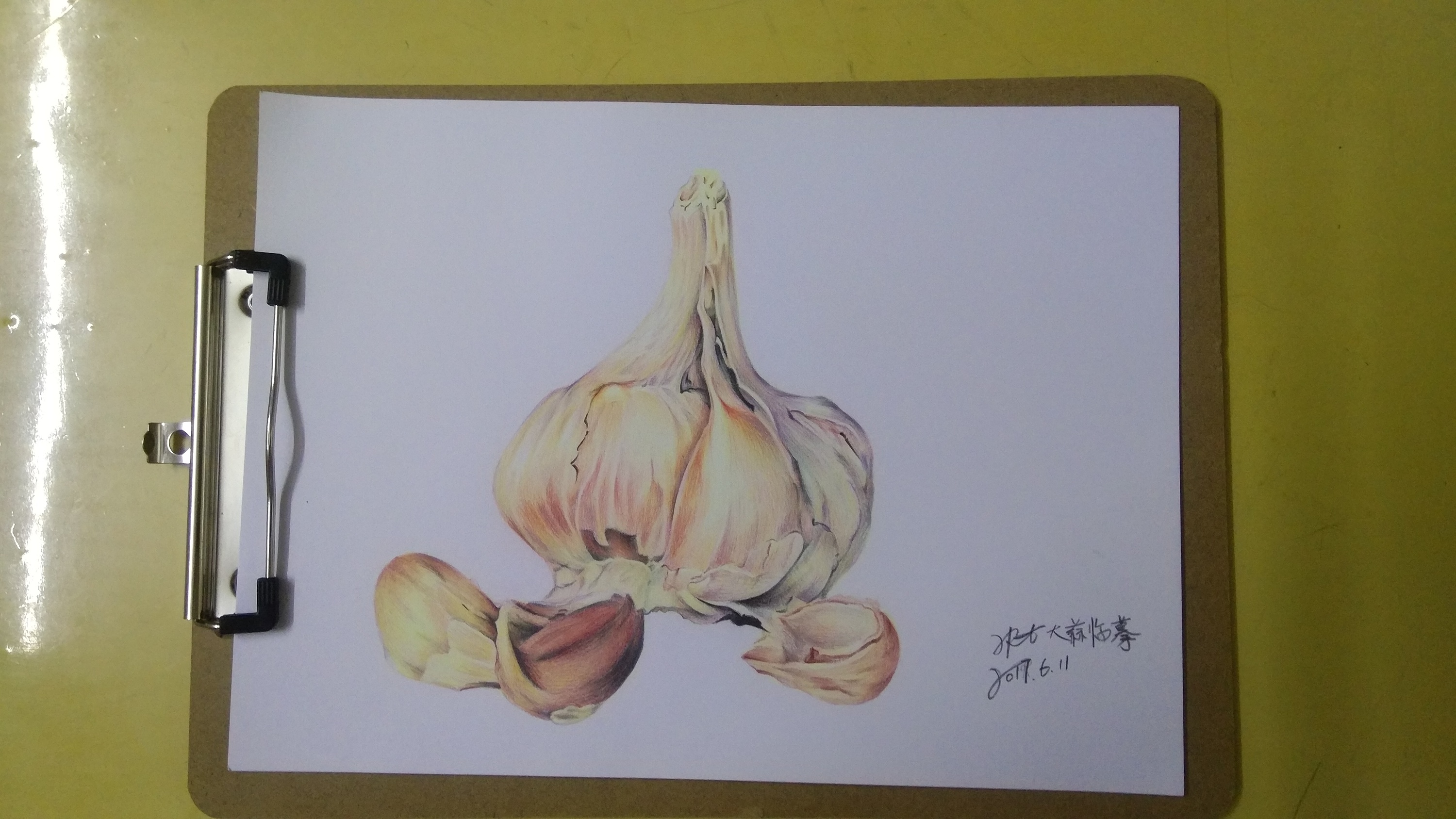大蒜临摹