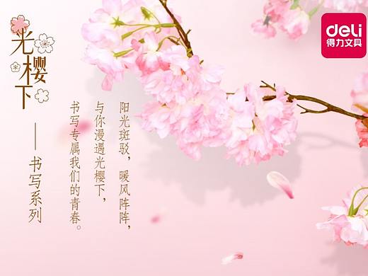 得力文具 光樱下 主题