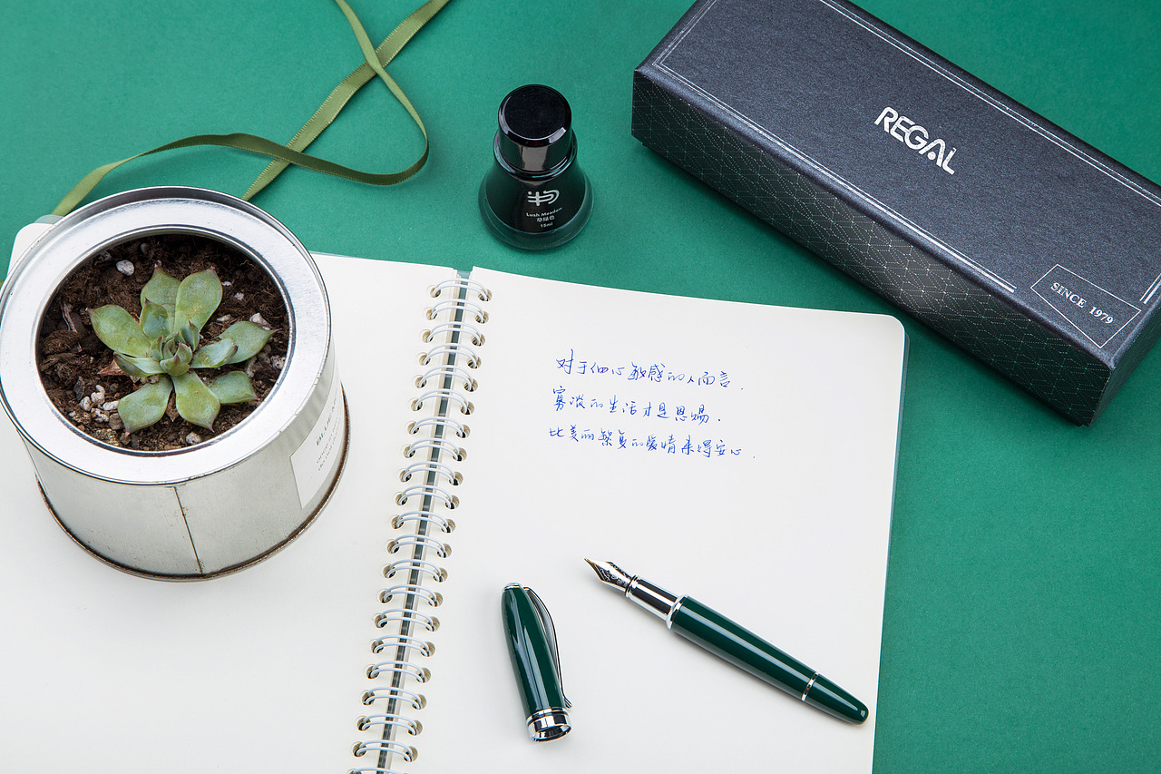 喜欢是乍见之欢regal钢笔