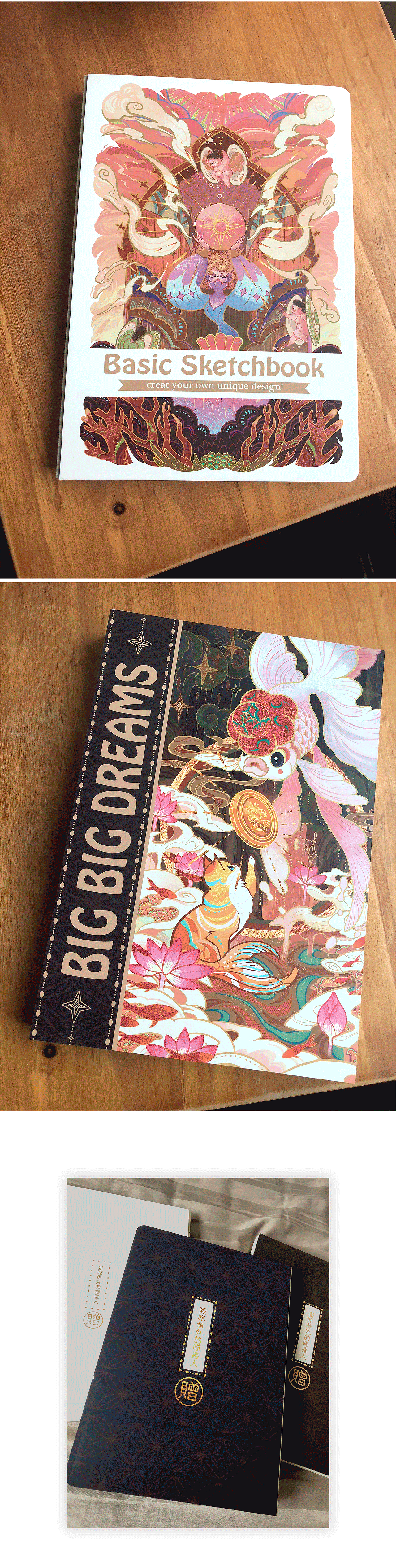 一只流浪猫的执着