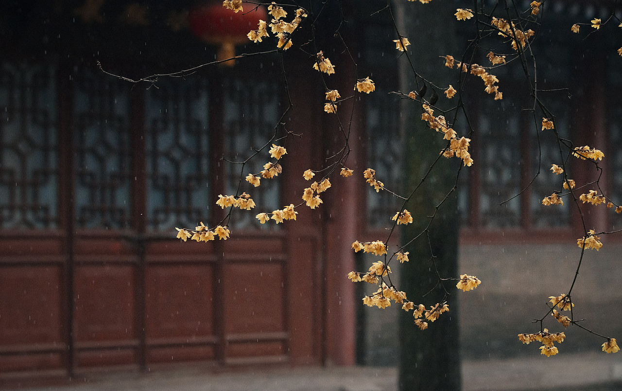 长安城外兴善寺