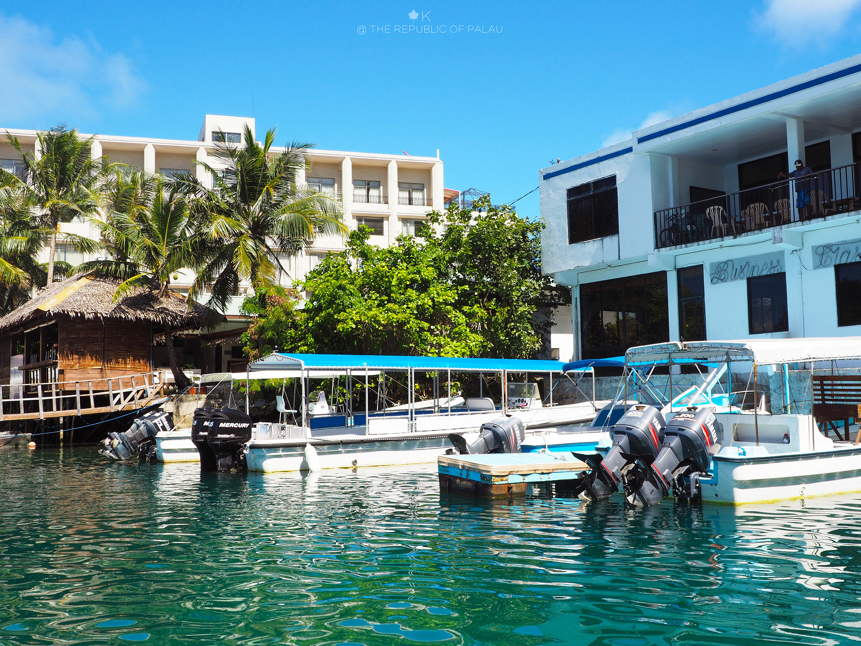 帕劳共和国旅拍