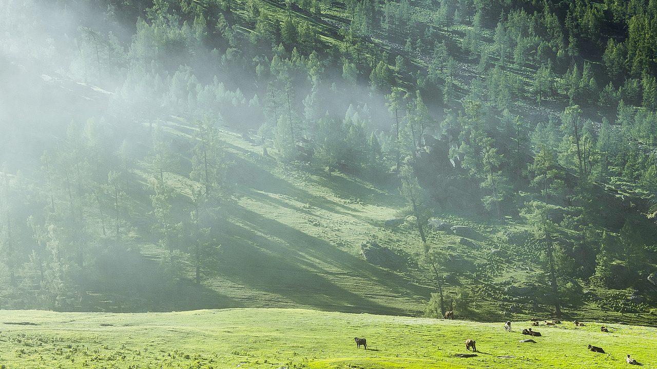 你从迷雾中向我走来 我的阿勒泰!!