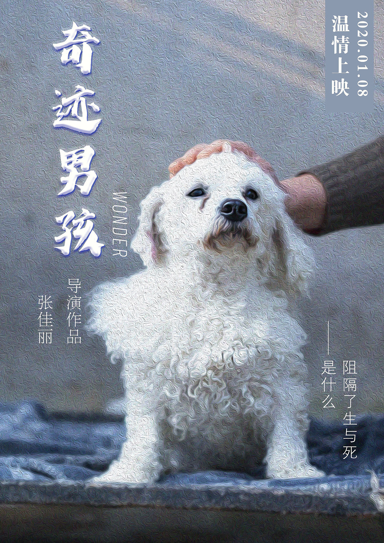 奇迹男孩（图ZMjM3NDE5MjU2） - 海报 - 站酷设计师冀小静原创素材 - 站酷ZCOOL