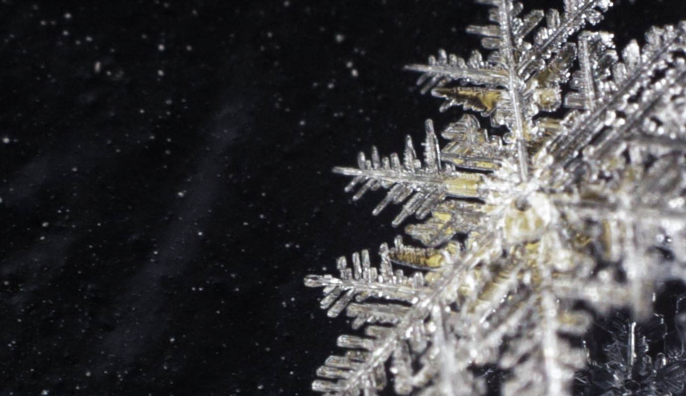 12 stunning snowflake photos you won’t believe were taken by an amateur ...