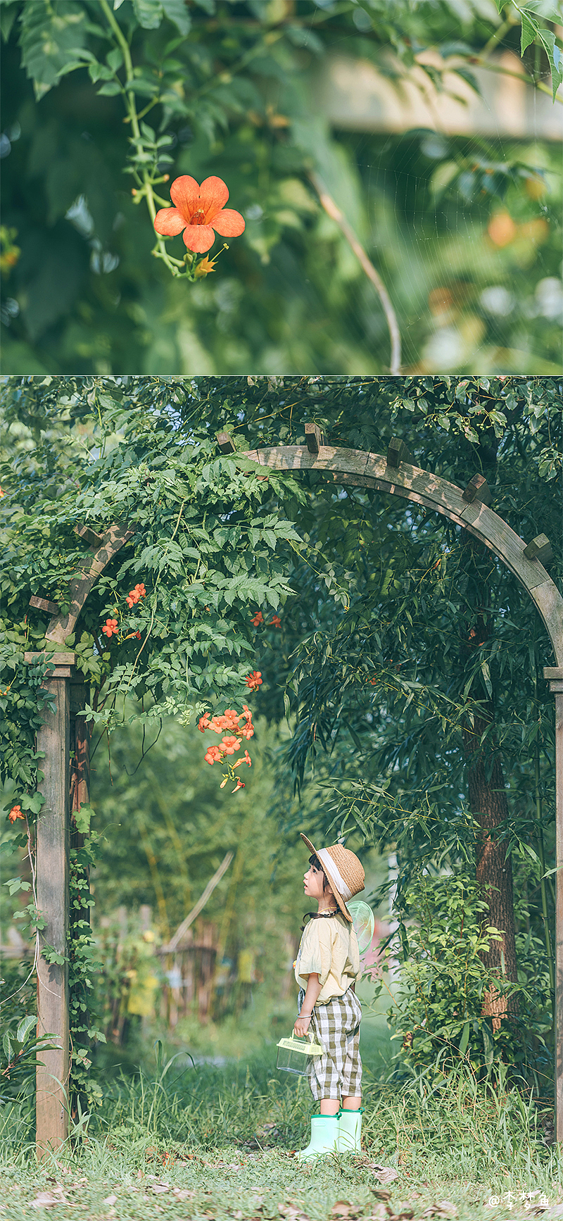 去年夏天的某天