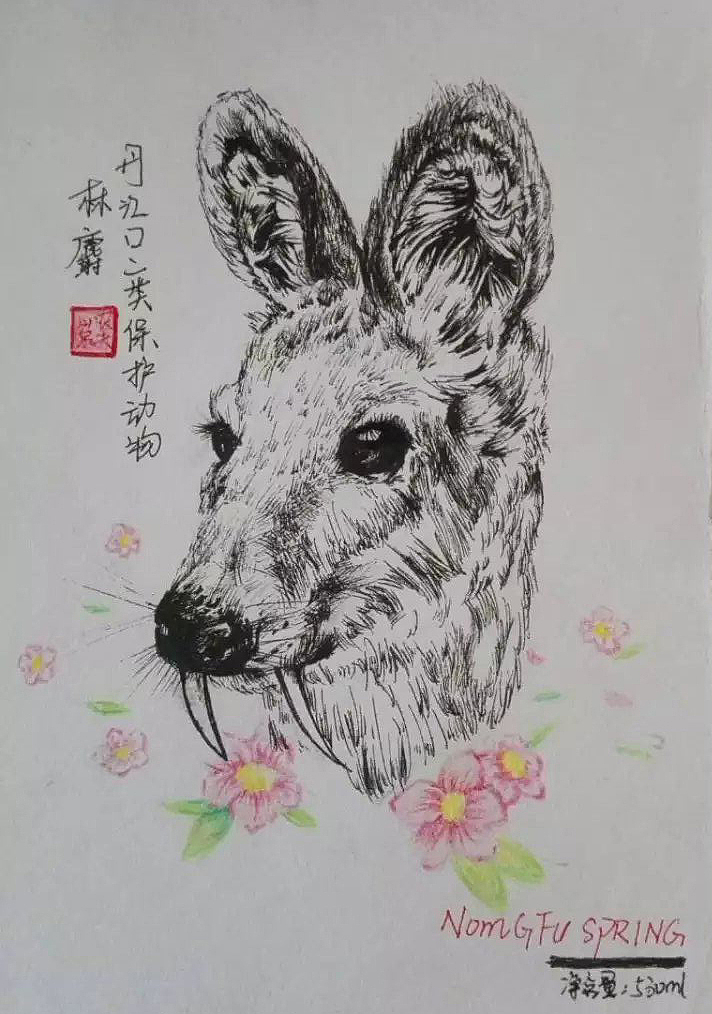 学校包装设计作业（图ZMTI1ODM2MzQw） - 宣传物料 - 站酷设计师xiu吱吱原创素材 - 站酷ZCOOL
