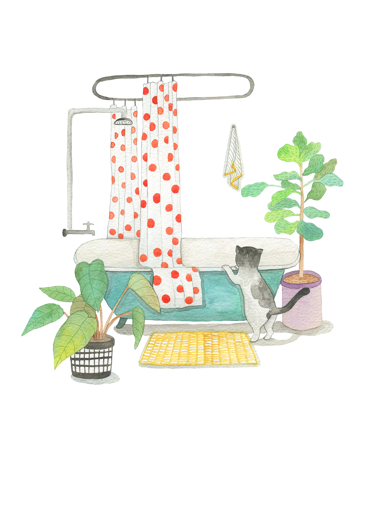 我的生活离不开猫咪