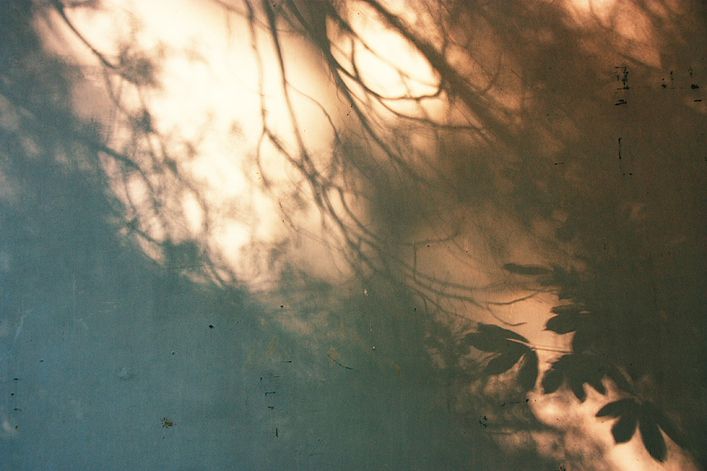 大觉寺寻秋《色、空、影》（图ZMzAwNDY2NTY=） - 风光摄影 - 站酷设计师上古清茗原创素材 - 站酷ZCOOL