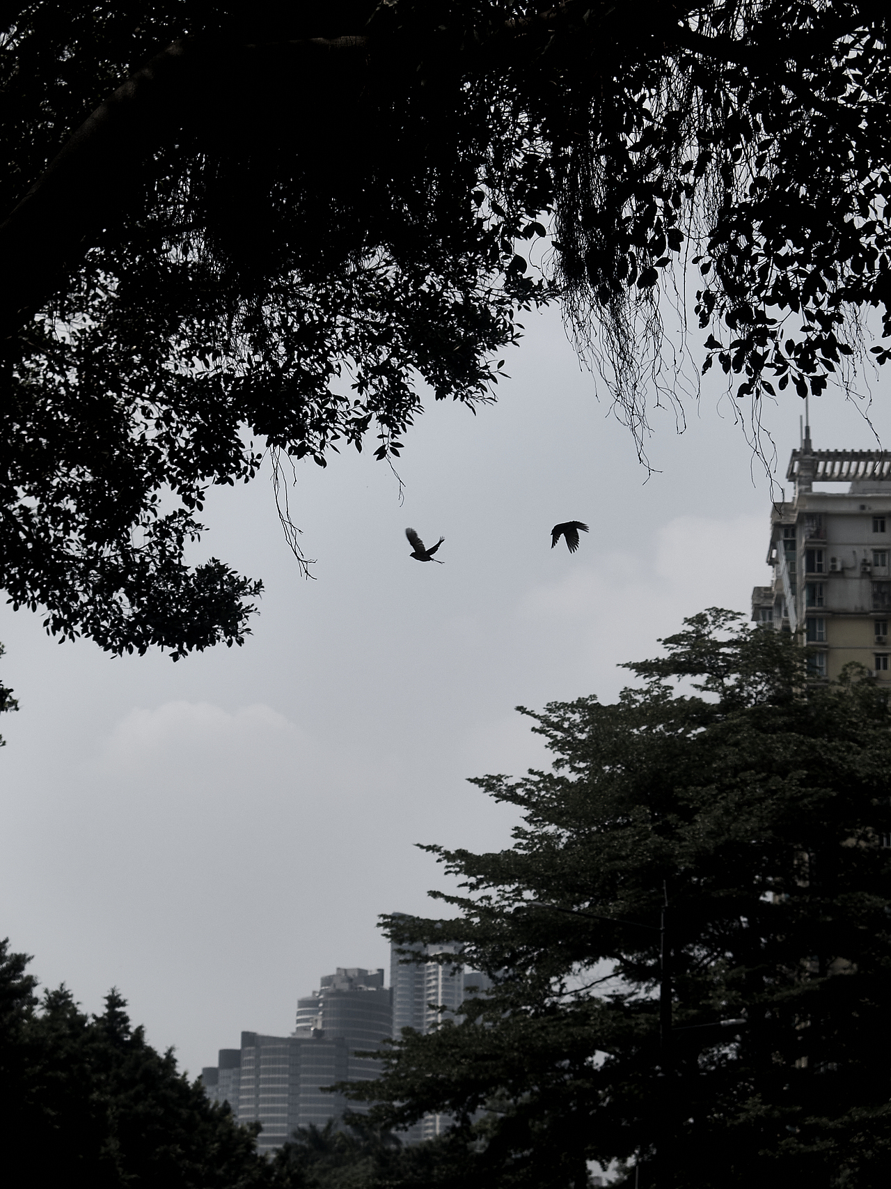 广州,沙面岛游记