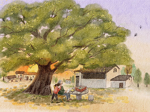 时光倒流（个人主页-ZNjMzOTk2MDA=） - 商业插画 - 站酷设计师是橡树Oak原创素材 - 站酷ZCOOL