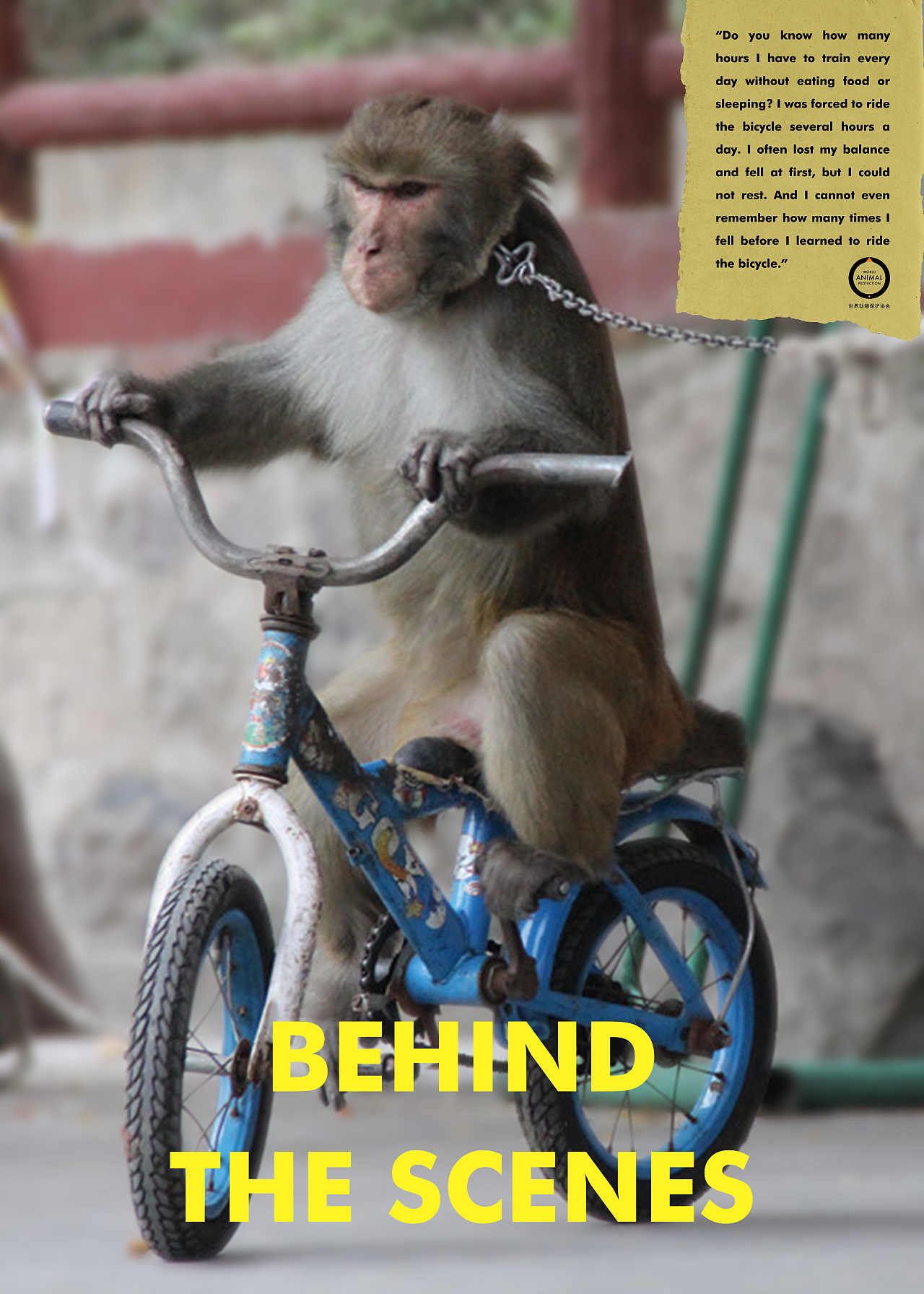 拒绝虐待性动物表演 公益广告（图ZMTg2ODQ3MTcy） - 海报 - 站酷设计师海贼王的腹肌原创素材 - 站酷ZCOOL