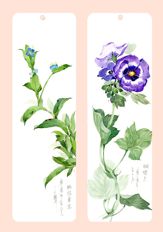 唯美花卉书签，欢迎欣赏。（图ZMTk2NTU2Njky） - 商业插画 - 站酷设计师鸿飛插画原创素材 - 站酷ZCOOL