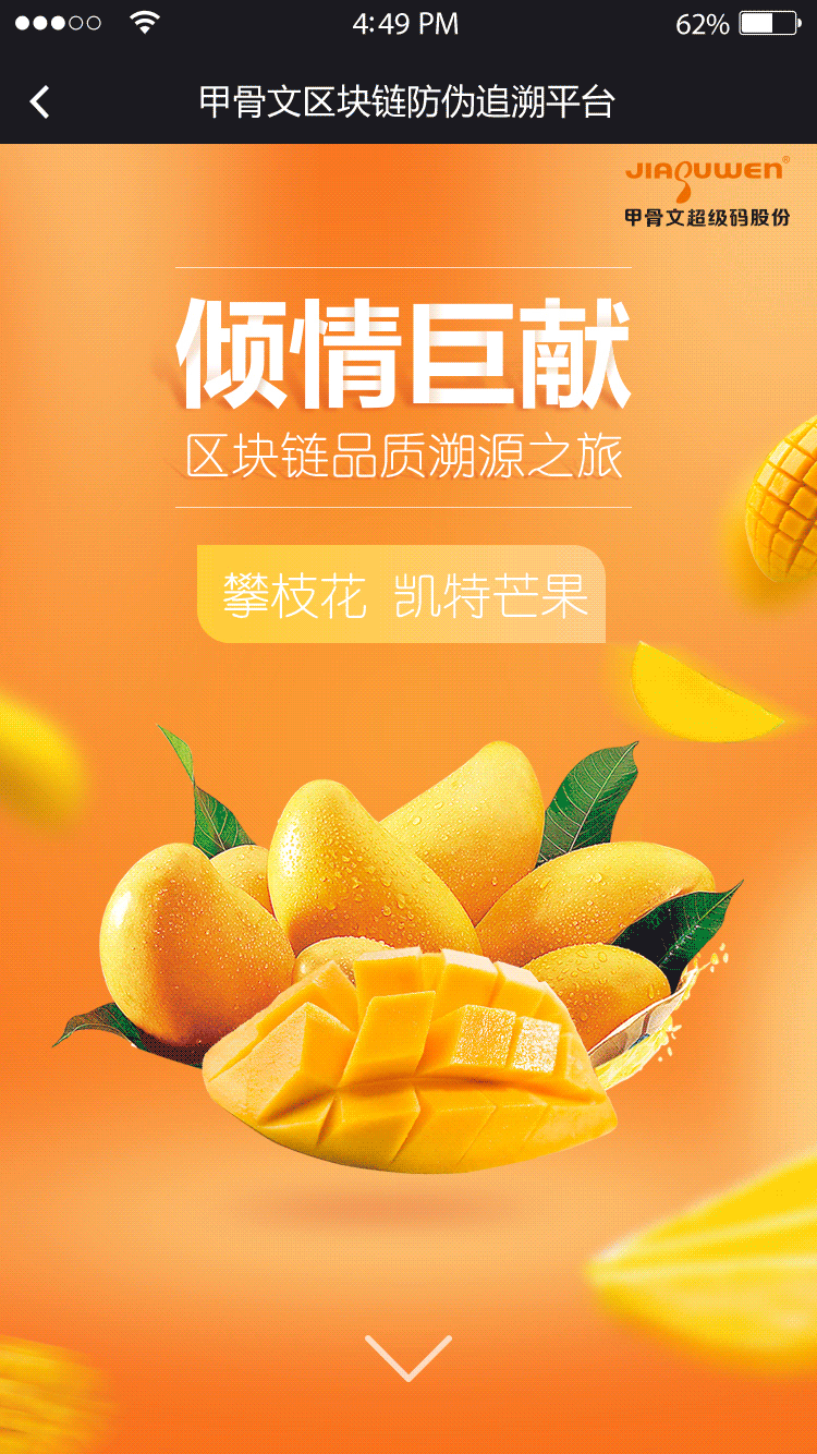 溯源查询（图ZMjYxOTI1MDA4） - 软件界面 - 站酷设计师llulike原创素材 - 站酷ZCOOL