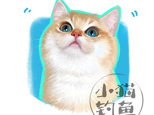 包子脸的小猫咪最可爱