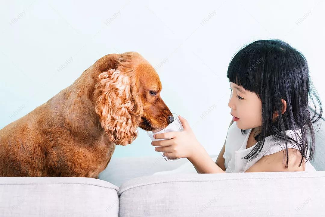 Hibaby儿童摄影 | 陪你走的那一段日子，是它的一生呀（图ZMTQ2NzM5MjUy） - 人像摄影 - 站酷设计师Hibaby儿童摄影原创素材 - 站酷ZCOOL