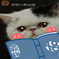 呆呆小熊恶搞猫狗表情