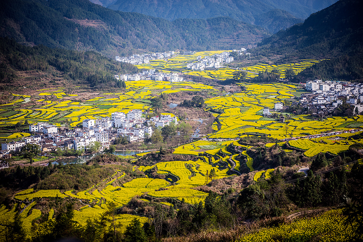 踏青-【婺源/宏村】 故地重游