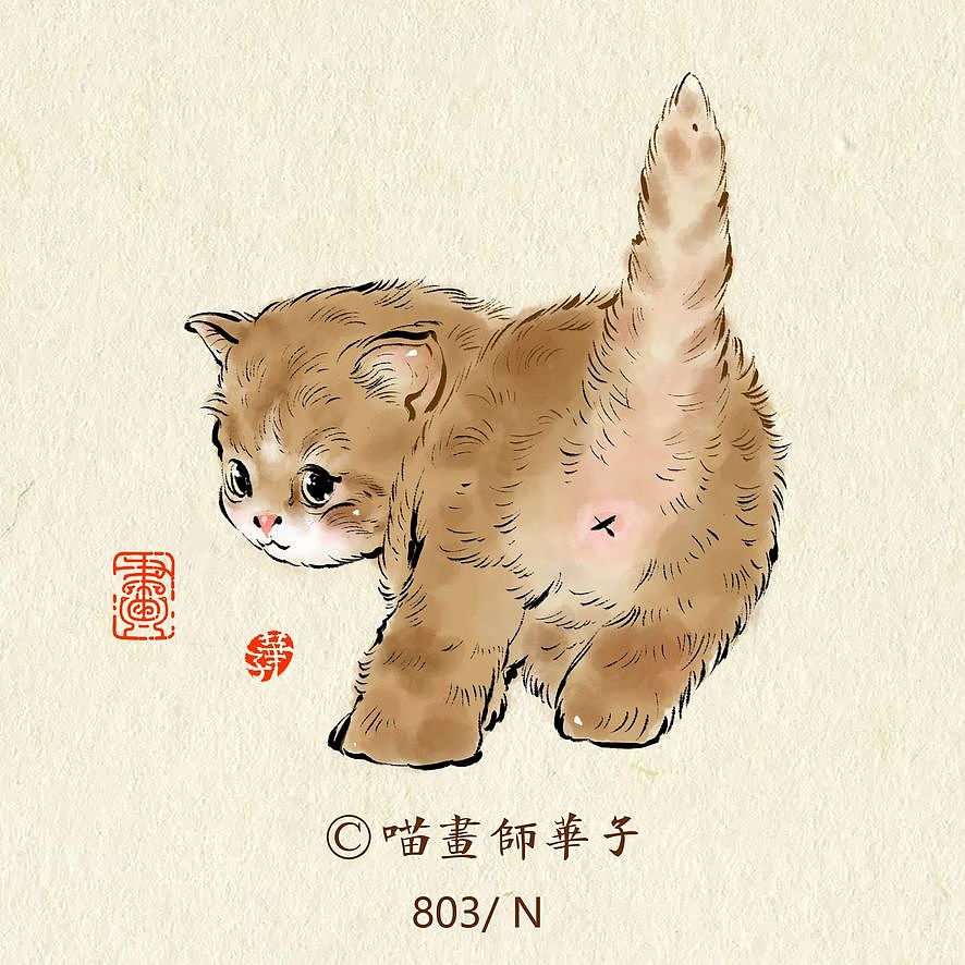 画猫的第三季150天,837天的画猫纪录
