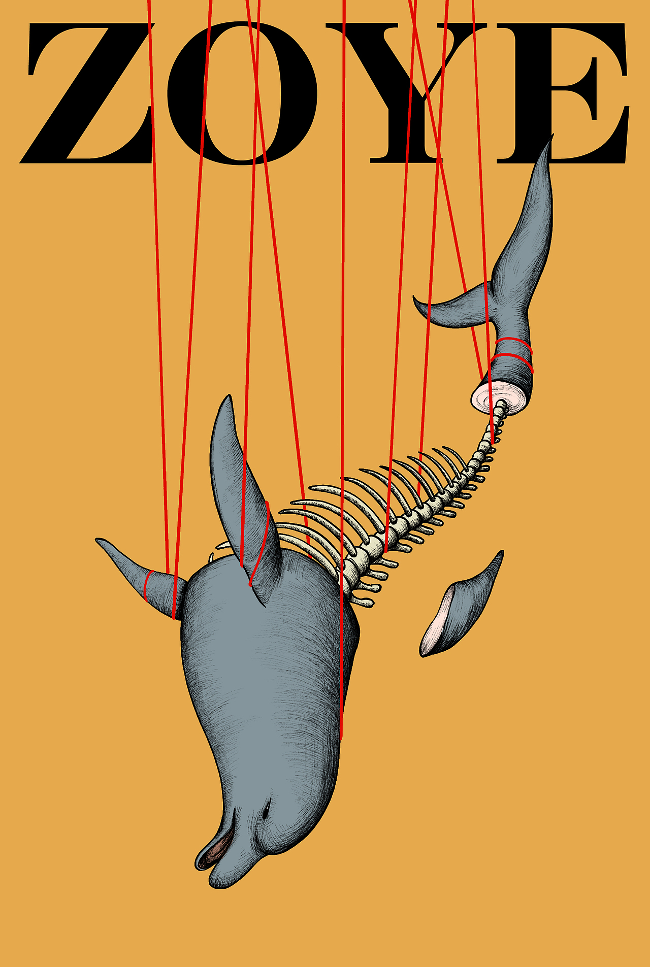 这是一条被人类捕捞的海豚，尽管有了较为环保的捕鱼技术，但传统的手段还是随处可见，给全世界的海豚们带来灭顶之灾。意在捕鱼，但误捞海豚的事情，还是时有发生；海豚只能眼巴巴看着自己的食物变成了人类的盘中餐。即使被放生也半数在两年内郁郁而终。海豚被红色的绳子缠绕托起，任人剔去身上的血肉。