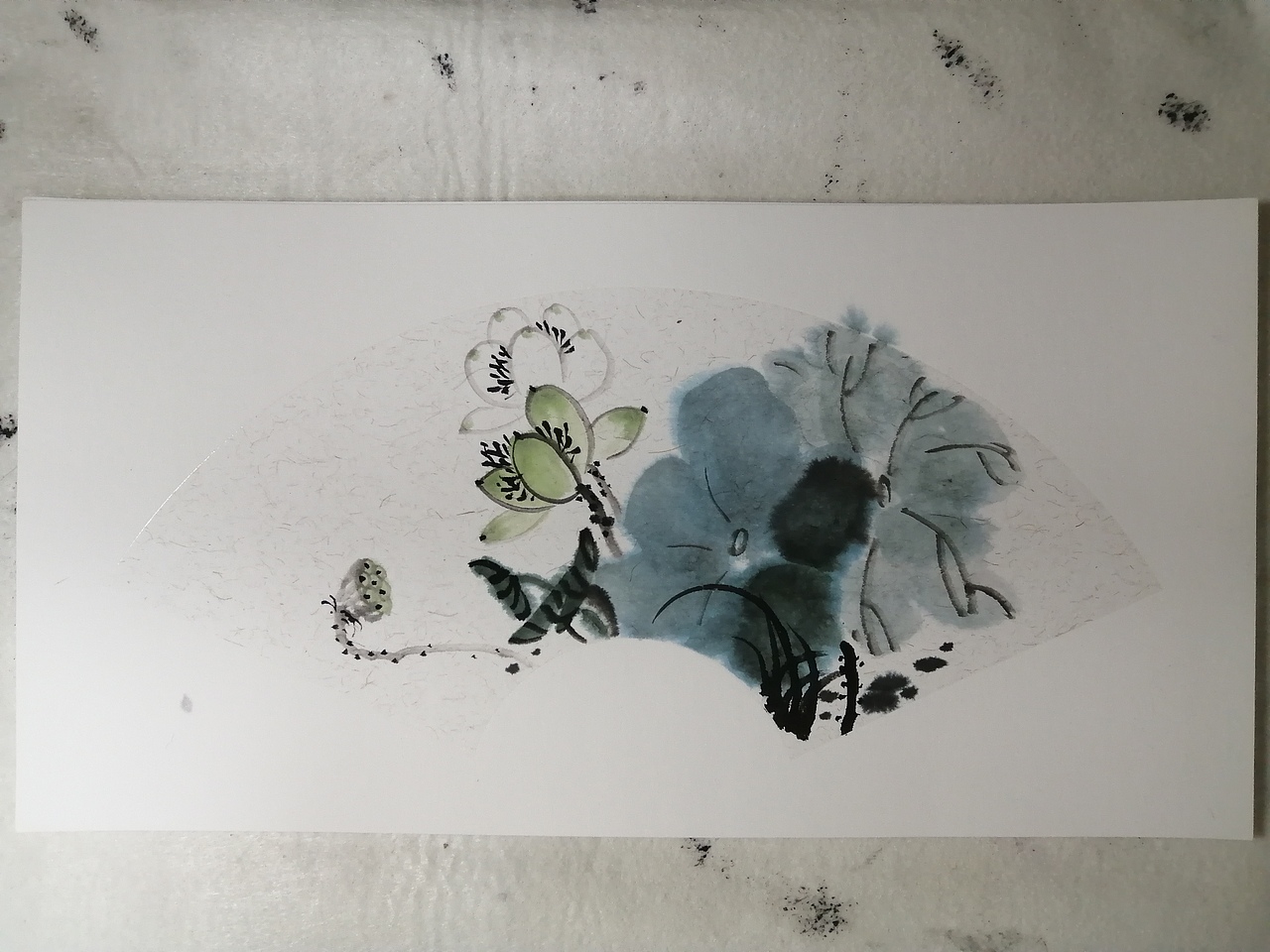 国画花鸟蔬果小品