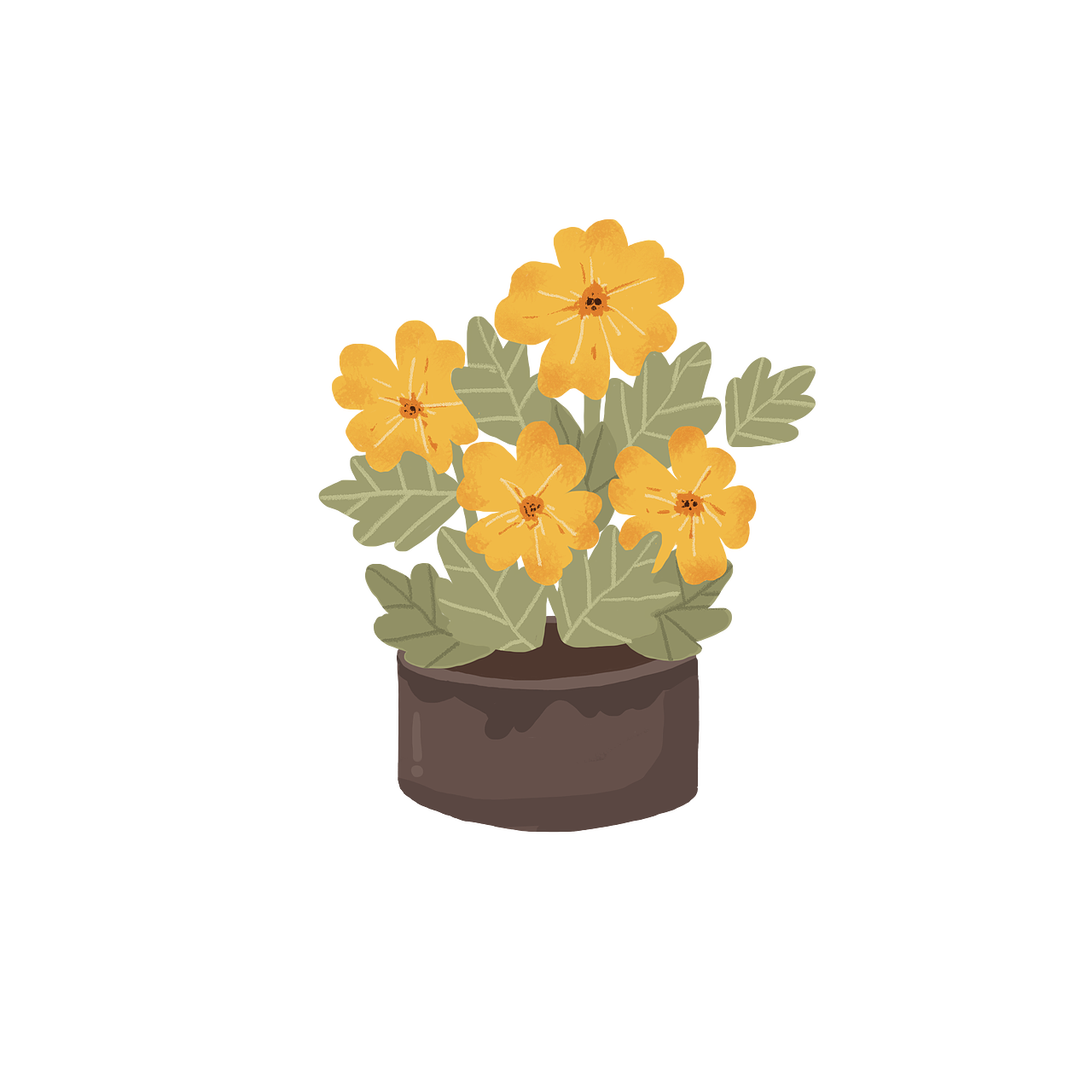 春天来了 你的小盆栽种起来了吗?