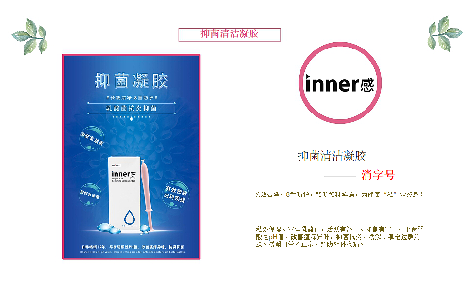 产品介绍PPT