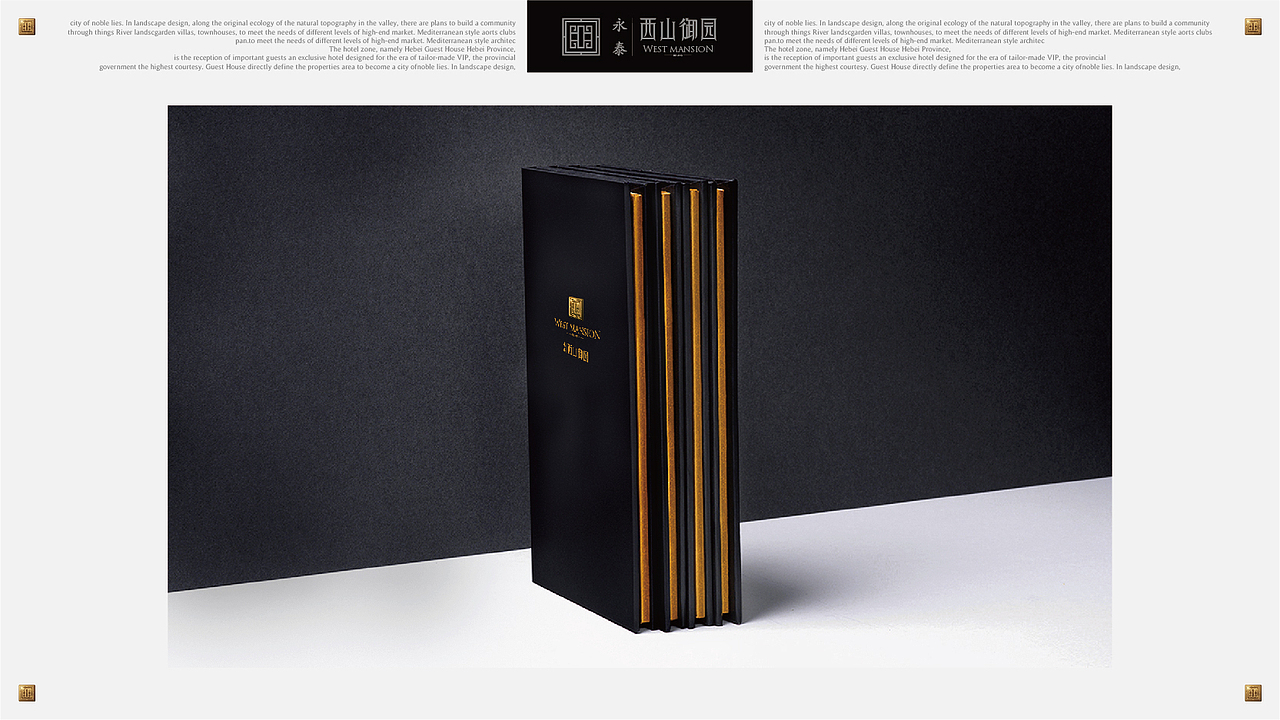 地产豪宅(提案)