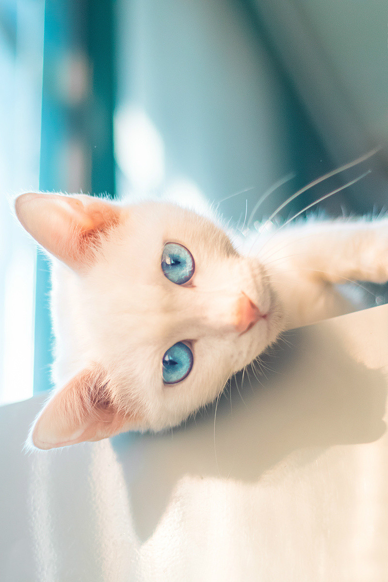 桃子809的個(gè)人主頁(yè)（背景預(yù)覽） - 主頁(yè)背景設(shè)置 - 站酷設(shè)計(jì)師桃子809原創(chuàng)素材 - 站酷ZCOOL