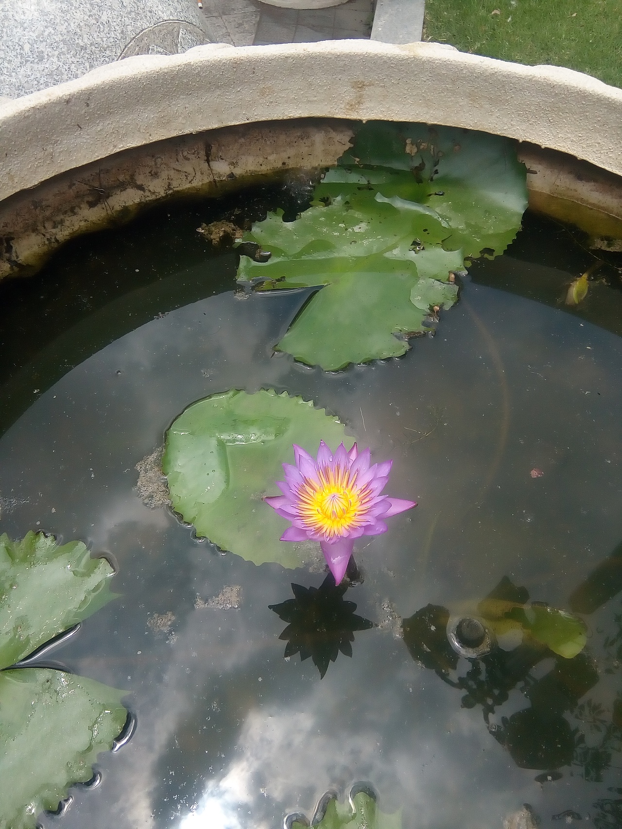 印跡（圖ZMzUzMTI4MzA4） - 風(fēng)光攝影 - 站酷設(shè)計(jì)師以然ke原創(chuàng)素材 - 站酷ZCOOL