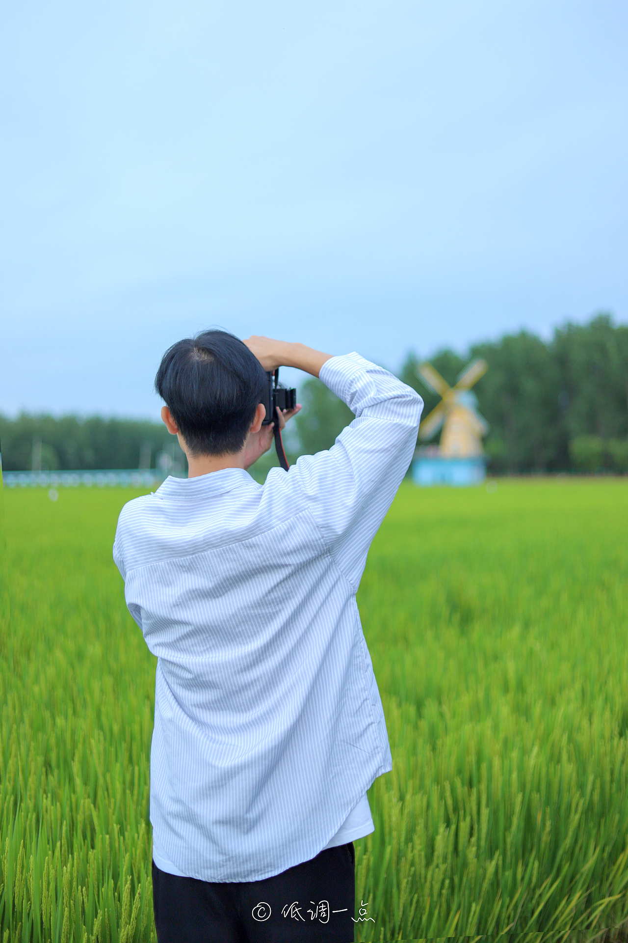 摄影 | 在希望的田野上