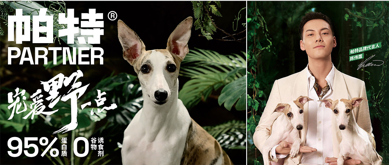 帕特品牌升级：宠爱野一点｜VI系统与包装设计