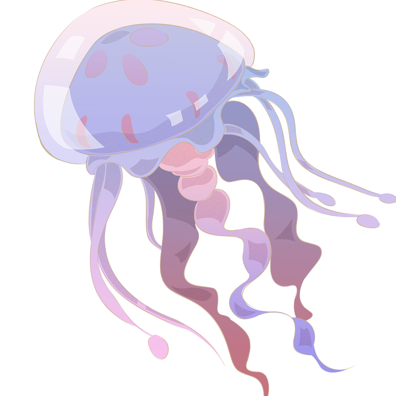 出版社单词卡（图ZMzI4NDQyNzA0） - 儿童插画 - 站酷设计师灰鷧原创素材 - 站酷ZCOOL