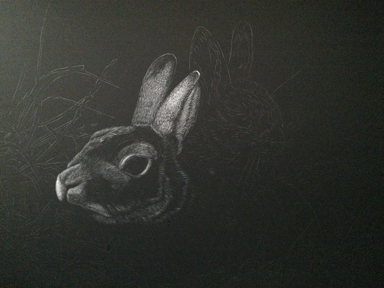 李子哥刮画作品iloveyoutoo兔