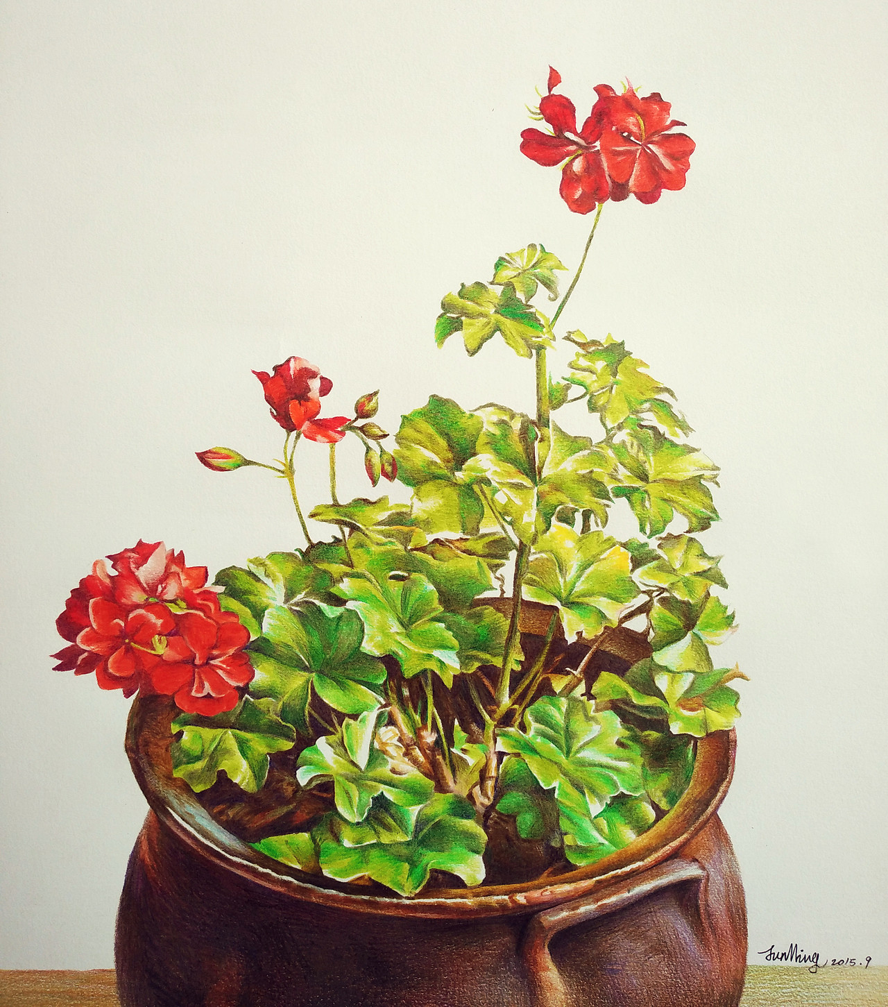 彩铅写实装饰画盆栽花