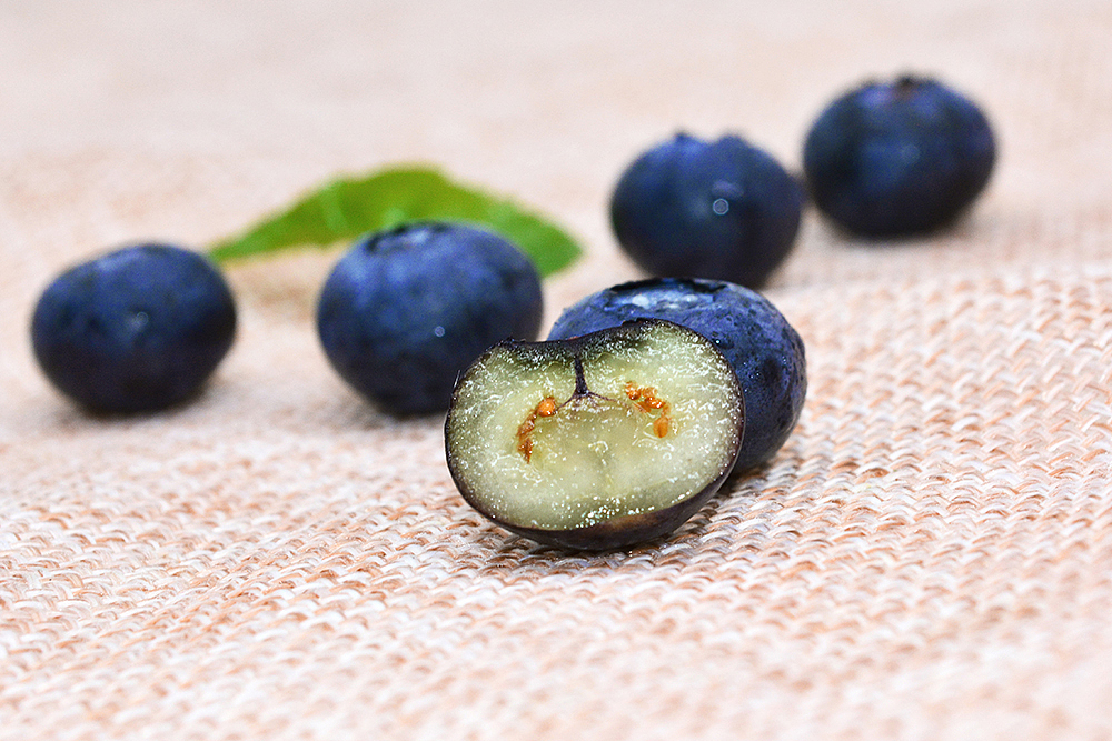 蓝莓/水果/静物